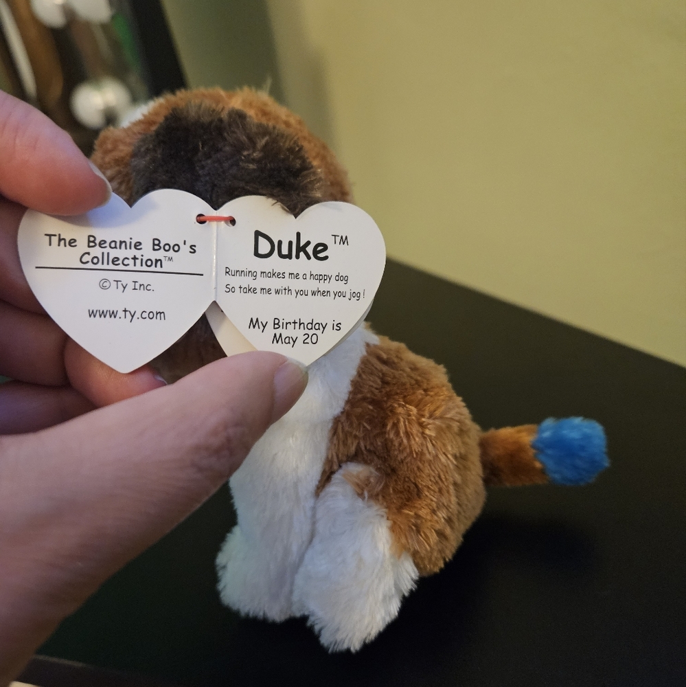 Duke Beanie Boo - Picture 3 of 3
